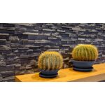 GRENADA 5, decorative concrete tile