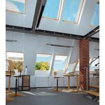 FAKRO FEP P2 | trä, tophängt, säkerhets dubbelglas evakueringsfönster