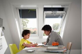 VELUX SSL 0000 | Solar anti-heat shutters