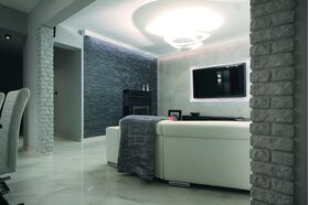 ARGENTO decorative natural stone