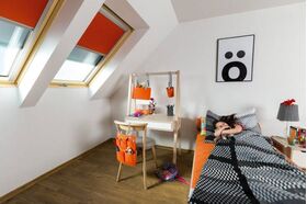 Takfönster FAKRO FTU-V U4