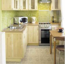 ATLAS ATUT | fästmassa | C1T, 2-10 mm